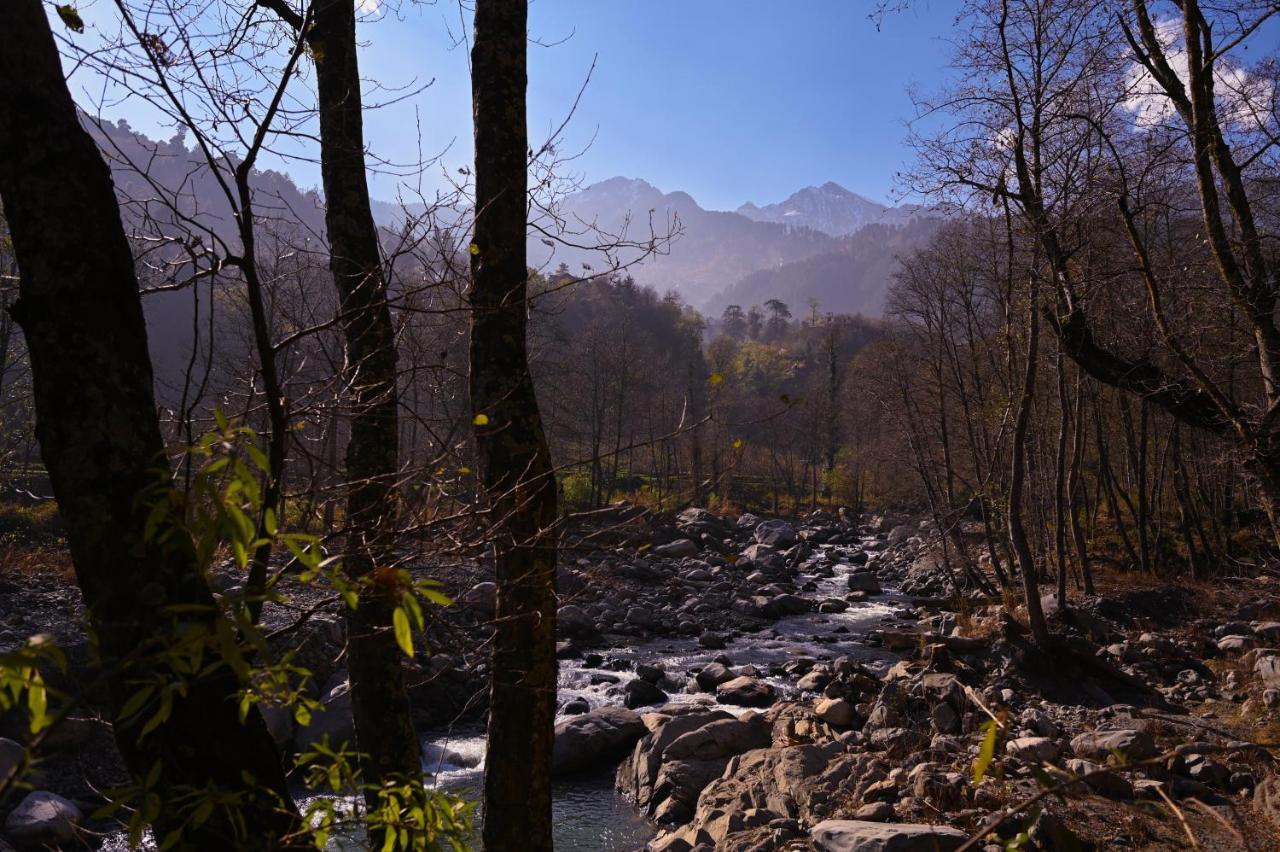 Nagar  Zostel Dobhi, Manali旅舍 外观 照片