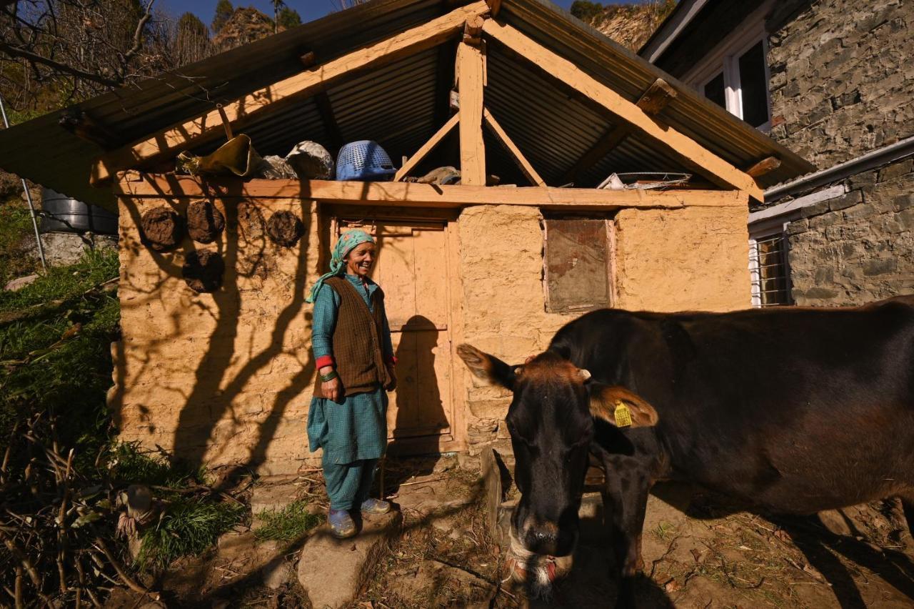 Nagar  Zostel Dobhi, Manali旅舍 外观 照片