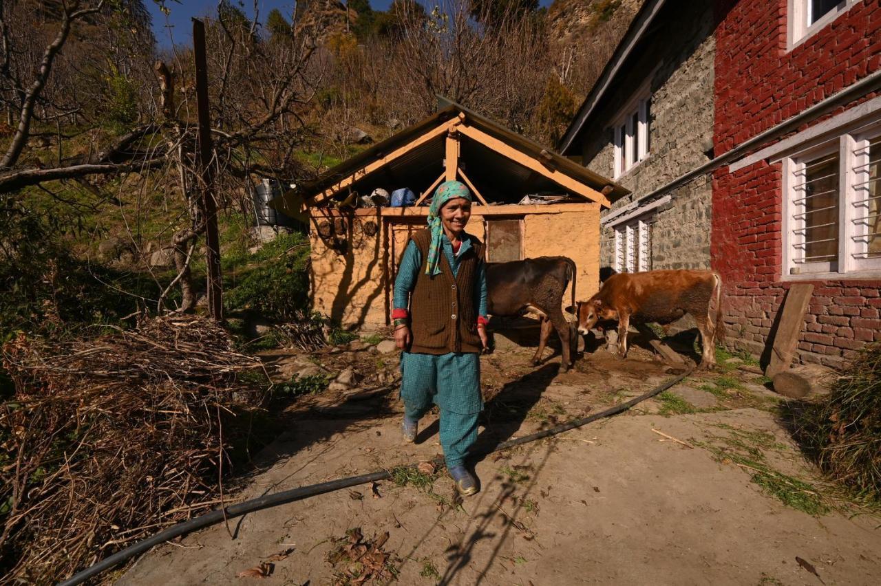 Nagar  Zostel Dobhi, Manali旅舍 外观 照片